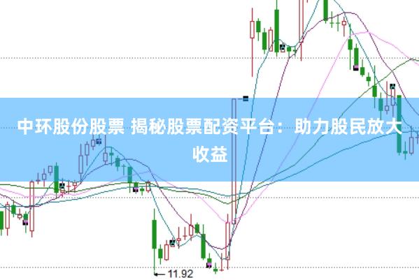 中环股份股票 揭秘股票配资平台：助力股民放大收益