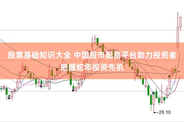 股票基础知识大全 中国股市配资平台助力投资者把握蛇年投资先机