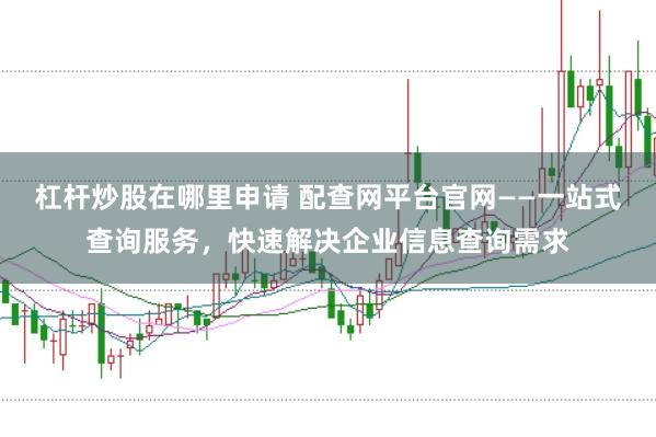 杠杆炒股在哪里申请 配查网平台官网——一站式查询服务，快速解决企业信息查询需求