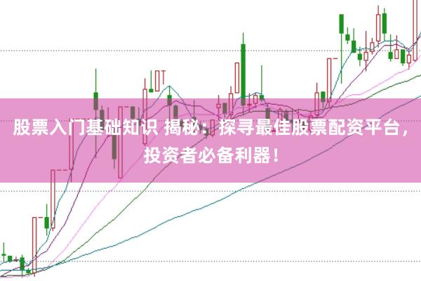 股票入门基础知识 揭秘：探寻最佳股票配资平台，投资者必备利器！