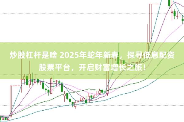 炒股杠杆是啥 2025年蛇年新春，探寻低息配资股票平台，开启财富增长之旅！
