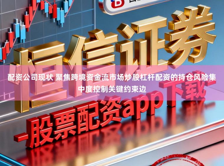 配资公司现状 聚焦跨境资金流市场炒股杠杆配资的持仓风险集中度控制关键约束边