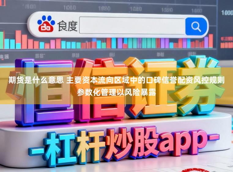 期货是什么意思 主要资本流向区域中的口碑信誉配资风控规则参数化管理以风险暴露